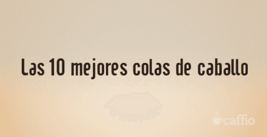 Las 10 mejores colas de caballo