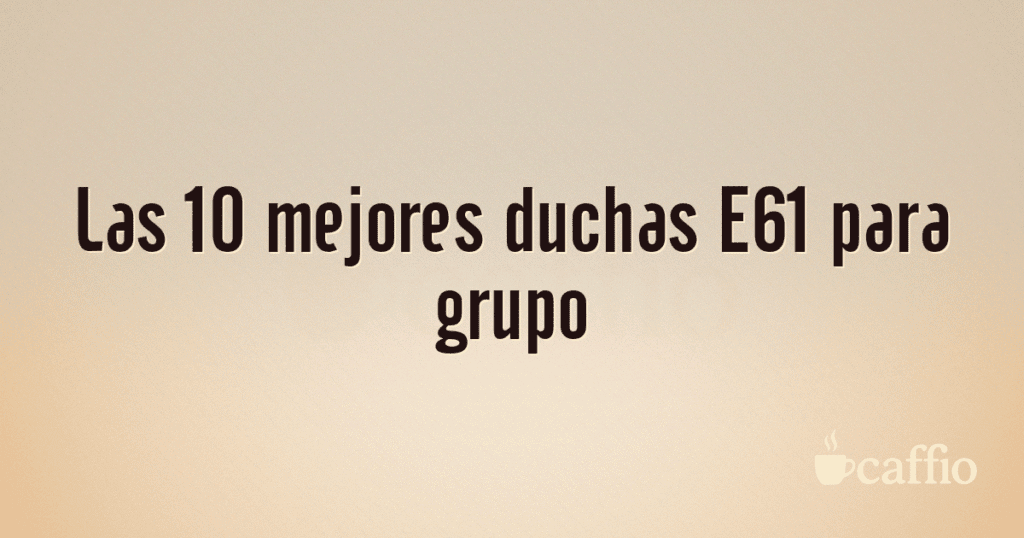 Las 10 mejores duchas E61 para grupo