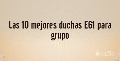 Las 10 mejores duchas E61 para grupo