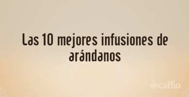 Las 10 mejores infusiones de arándanos