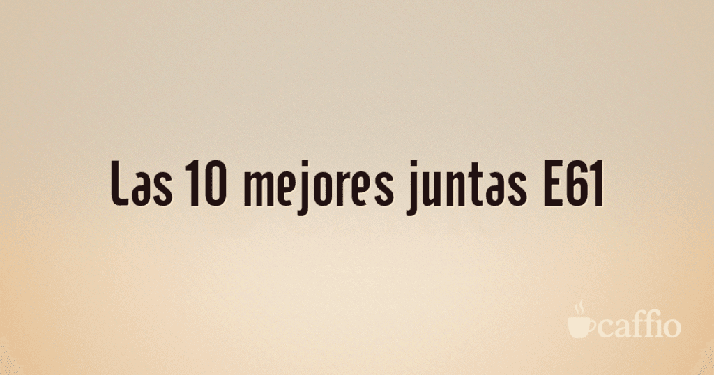 Las 10 mejores juntas E61 Las 10 mejores juntas E61