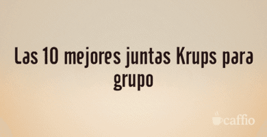 Las 10 mejores juntas Krups para grupo