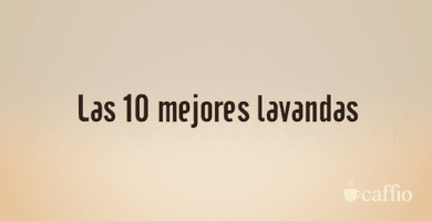 Las 10 mejores lavandas