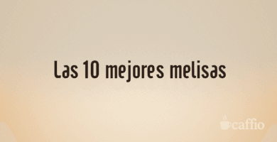 Las 10 mejores melisas