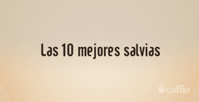 Las 10 mejores salvias