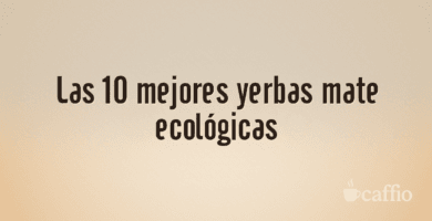 Las 10 mejores yerbas mate ecológicas