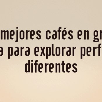 Los 10 mejores cafés en grano de Asia para explorar perfiles diferentes