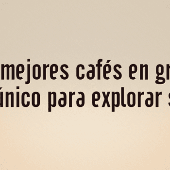 Los 10 mejores cafés en grano de origen único para explorar sabores