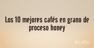 Los 10 mejores cafés en grano de proceso honey Los 10 mejores cafés en grano de proceso honey