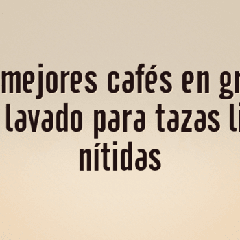 Los 10 mejores cafés en grano de proceso lavado para tazas limpias y nítidas