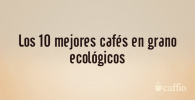 Los 10 mejores cafés en grano ecológicos Los 10 mejores cafés en grano ecológicos
