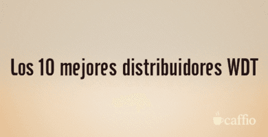Los 10 mejores distribuidores WDT