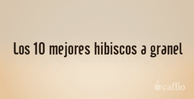 Los 10 mejores hibiscos a granel