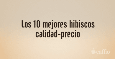 Los 10 mejores hibiscos calidad-precio