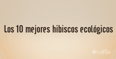Los 10 mejores hibiscos ecológicos