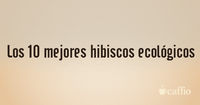Los 10 mejores hibiscos ecológicos