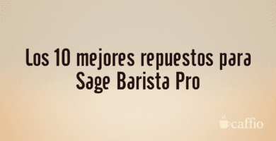 Los 10 mejores repuestos para Sage Barista Pro