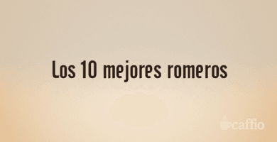 Los 10 mejores romeros