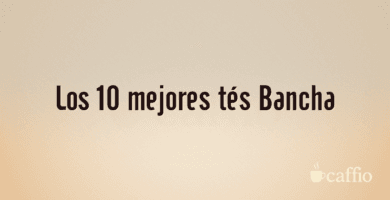 Los 10 mejores tés Bancha