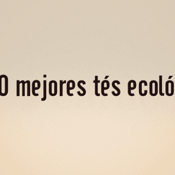 Los 10 mejores tés ecológicos