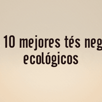 Los 10 mejores tés negros ecológicos