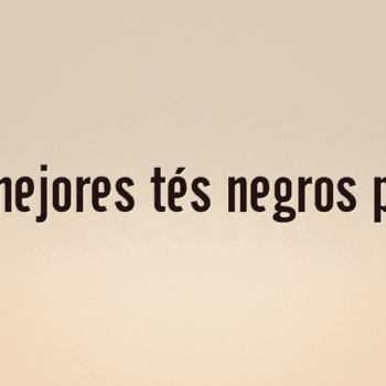 Los 10 mejores tés negros premium