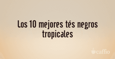 Los 10 mejores tés negros tropicales