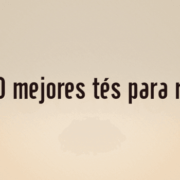 Los 10 mejores tés para regalo