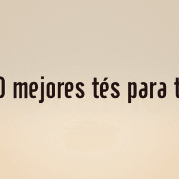 Los 10 mejores tés para té frío